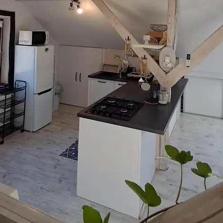 Apartman Malopolskie Swojskie Olszyny (Tarnow)